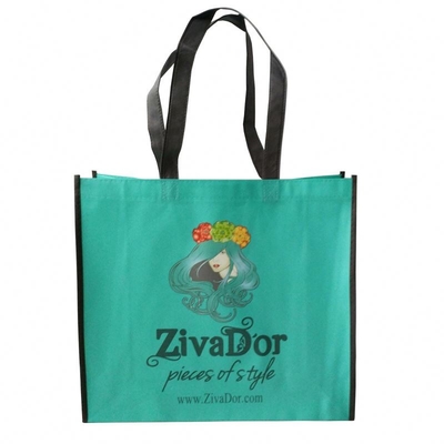 BOPP lamellierte gesponnene Tasche Matt Biodegradables 100gsm pp. nicht