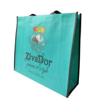 BOPP lamellierte gesponnene Tasche Matt Biodegradables 100gsm pp. nicht