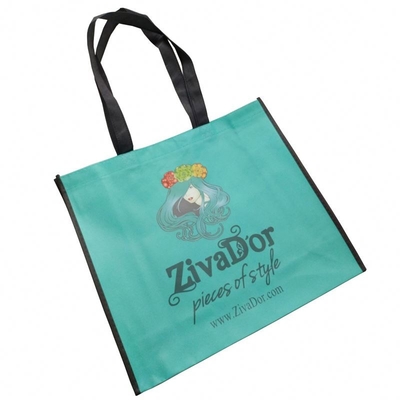 BOPP lamellierte gesponnene Tasche Matt Biodegradables 100gsm pp. nicht
