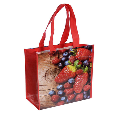 ODM 40x32x12cm 25kg 80gsm lamellierte gesponnene Polypropylen-Taschen