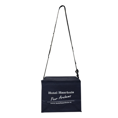 Nicht gesponnenes 20x15x18cm CMKY Soem 80gsm isolierte Kühltasche