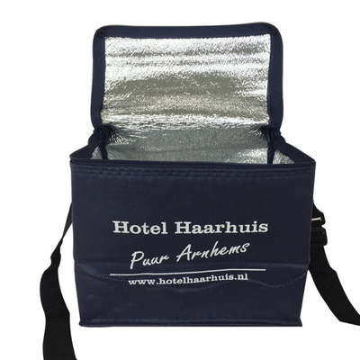 Nicht gesponnenes 20x15x18cm CMKY Soem 80gsm isolierte Kühltasche